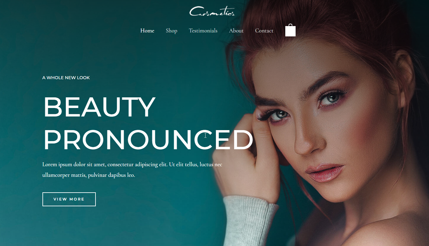 Beauty and Salon Website Design